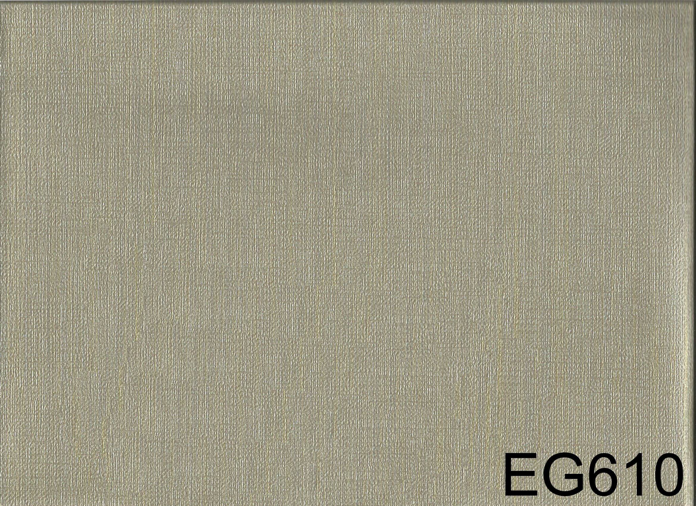 EG610