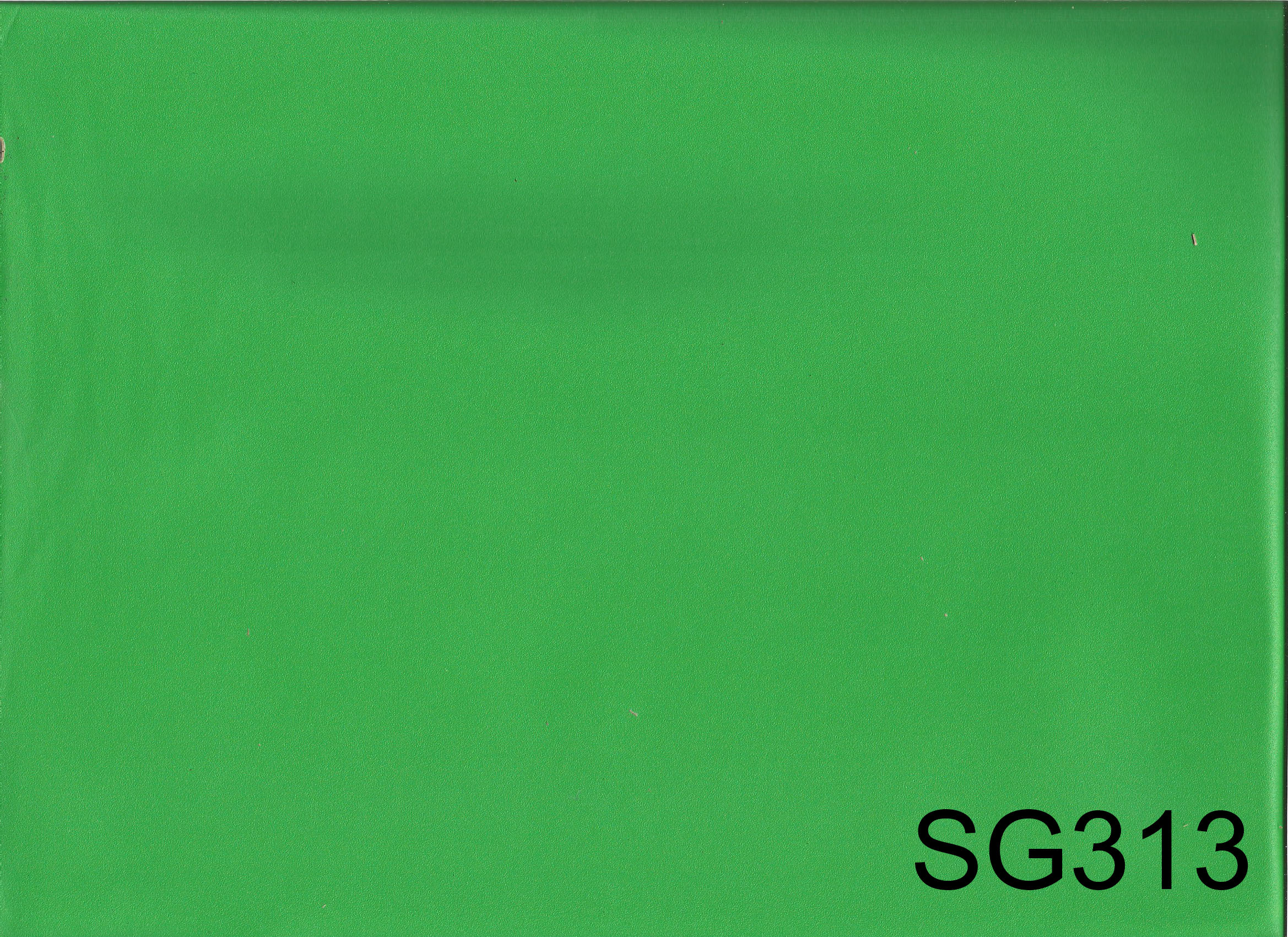 SG313
