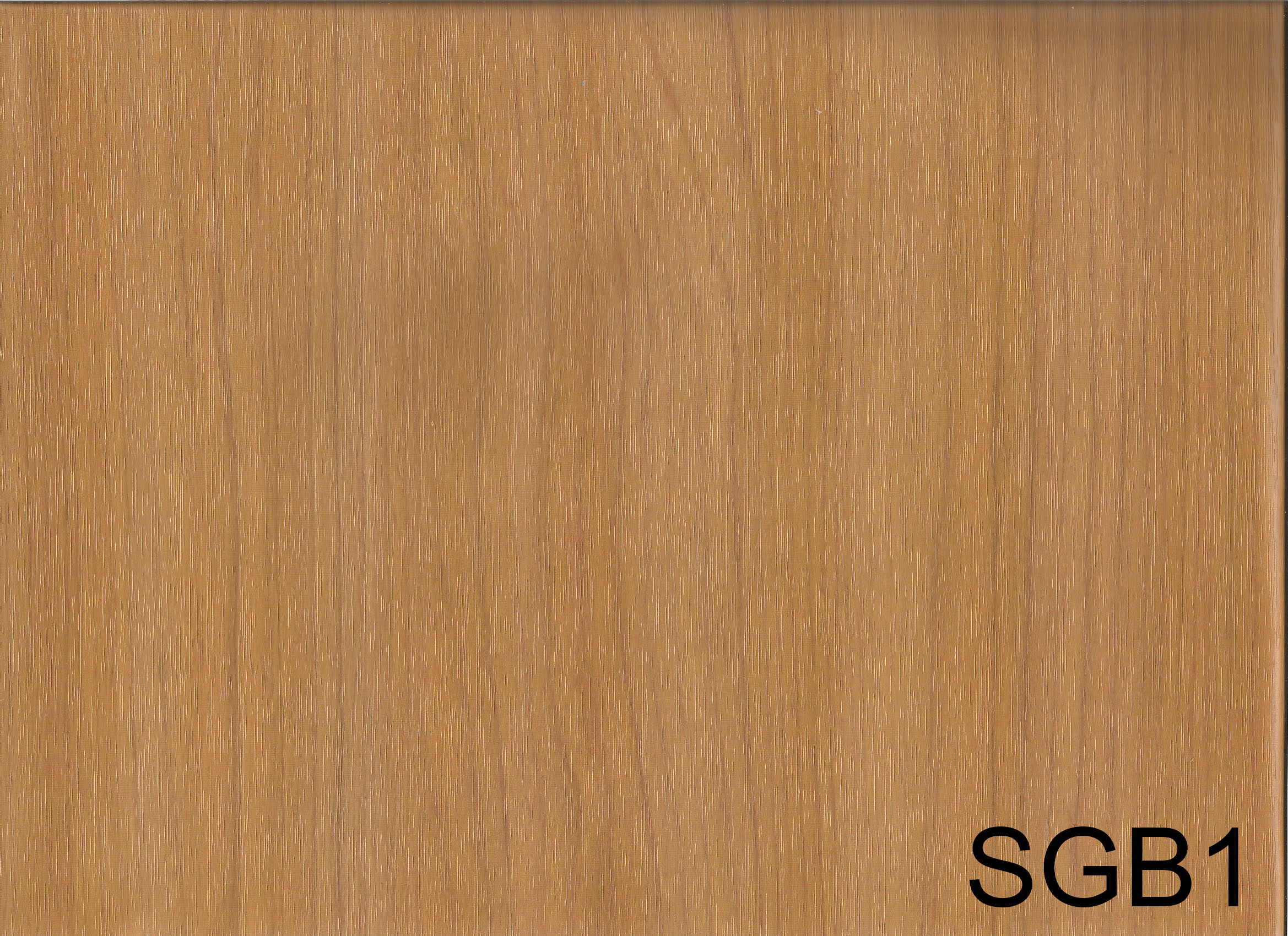 SGB1