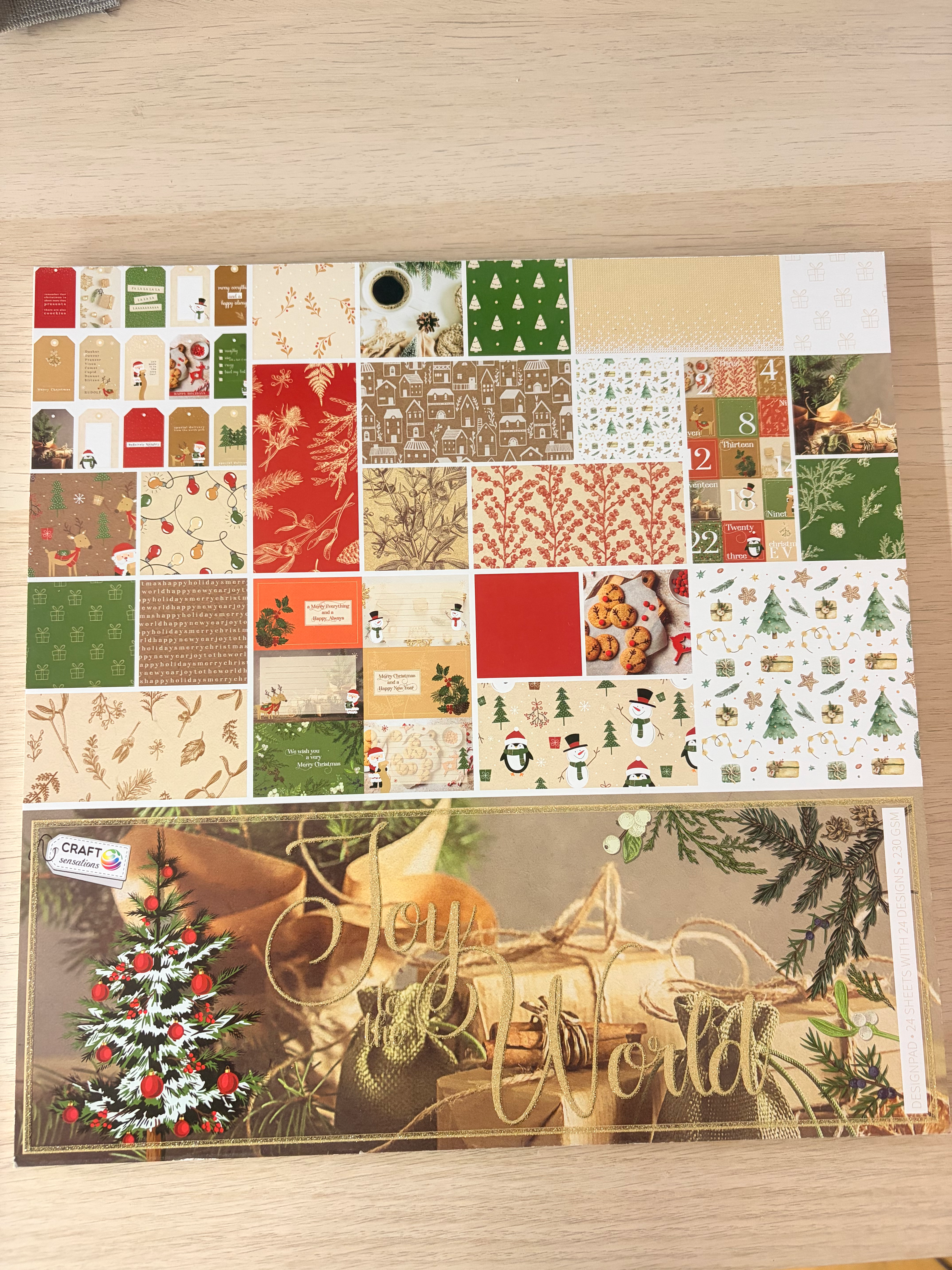Bloc de papier scrapbooking Noël Joy & Noel – Craft Sensations 🎄✨