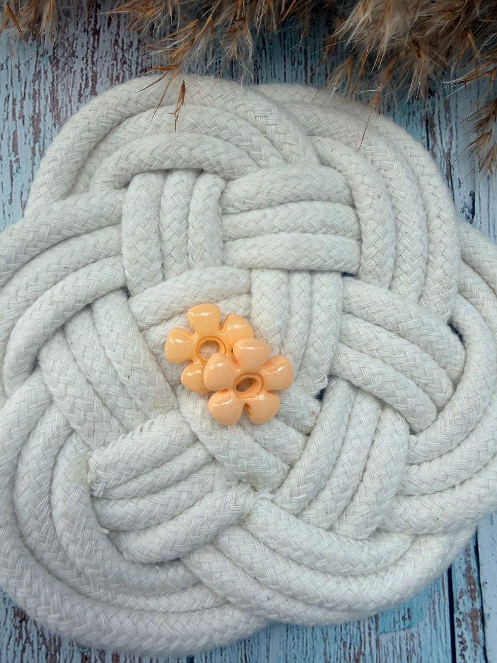 Miniature : 🌸 Flower Pop – Pampilles Abricot