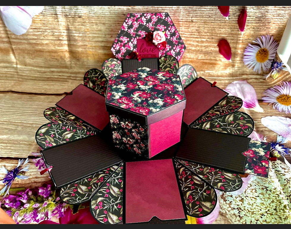 Miniature : Boite photo à explosion XL