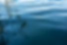 DSC03015.jpg