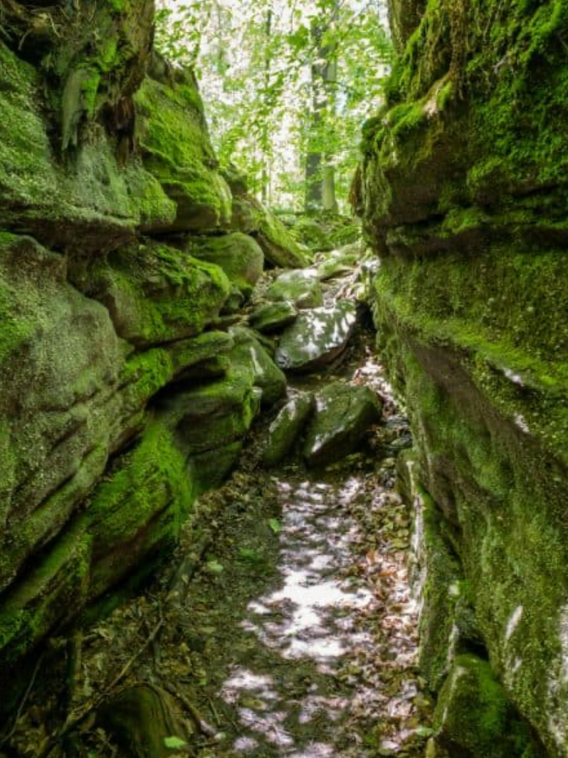 Vintage Finds & Forgotten Treasures | Panama, NY