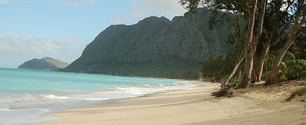 hawaii 2.jpg