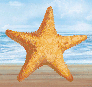 Starfish2.gif