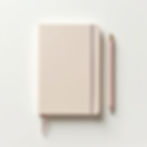 Carnet de Gratitude Ludique