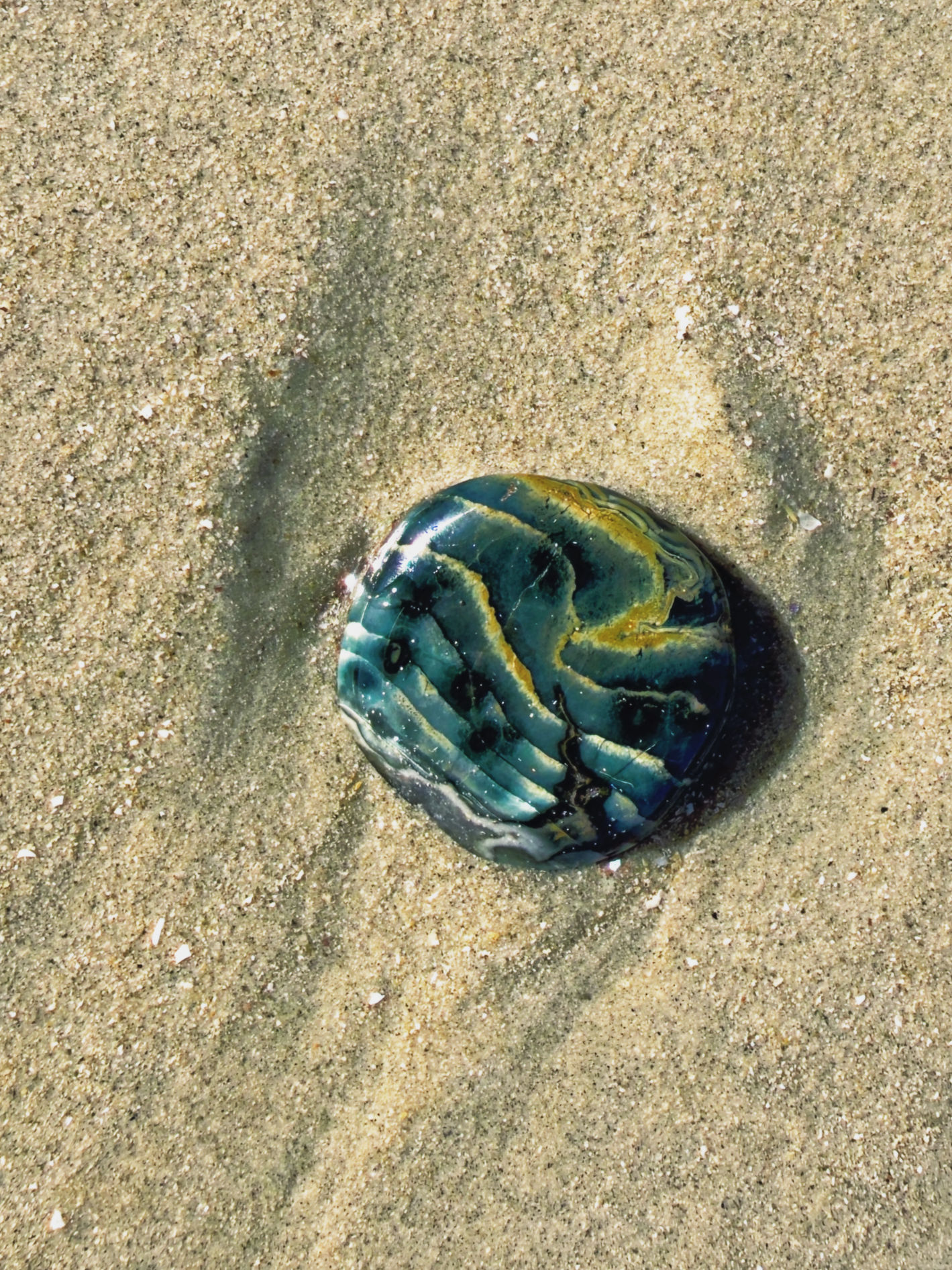 Ocean Jasper
