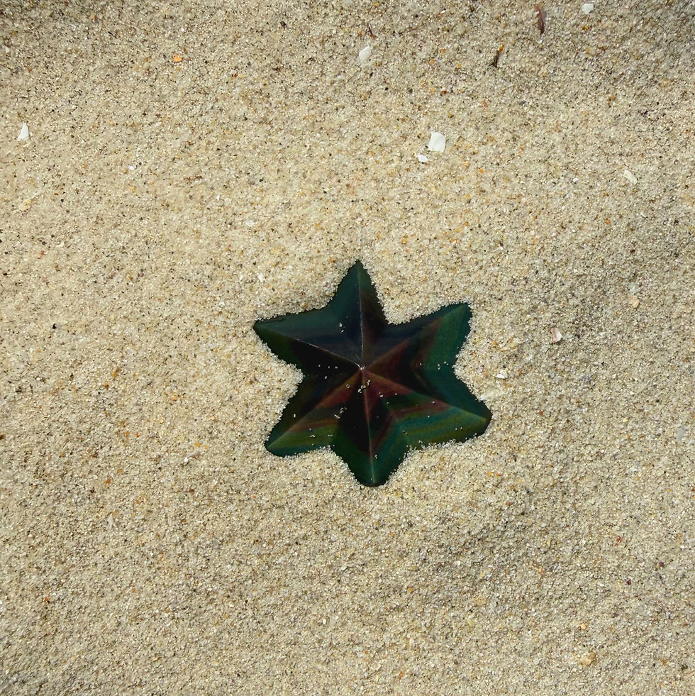 Obsidian Starfish