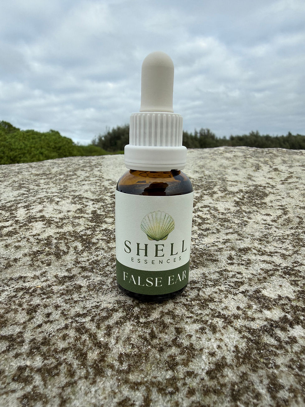 Thumbnail: False Ear Shell Drops