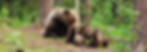 b7b7a070c99d2b287e9afc7ef5ef66b8.jpg
