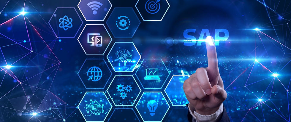 SAP Domains