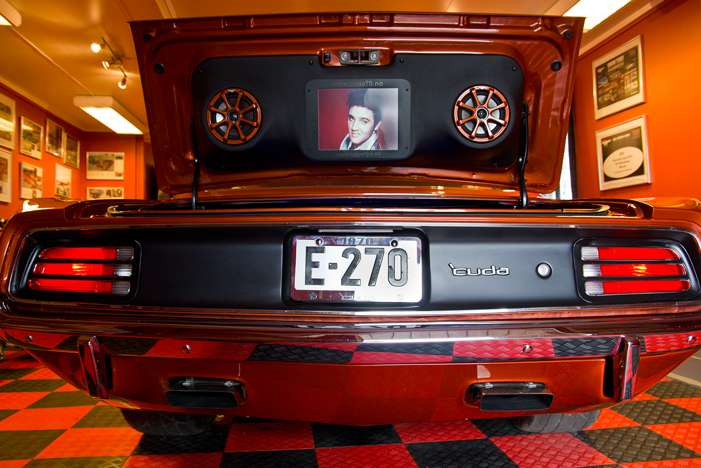 The King and the Cuda