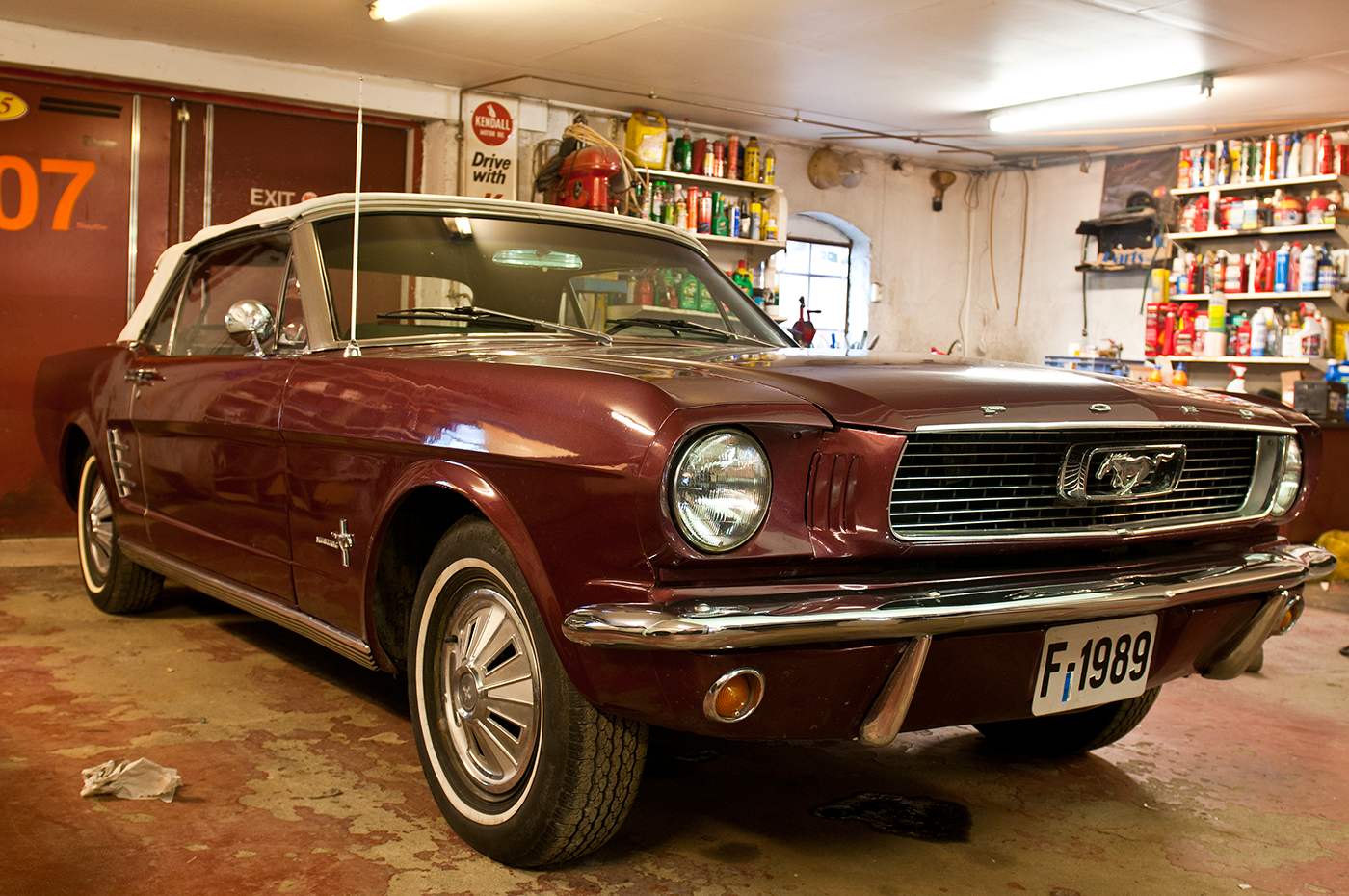 Mustang på Mustang Farm