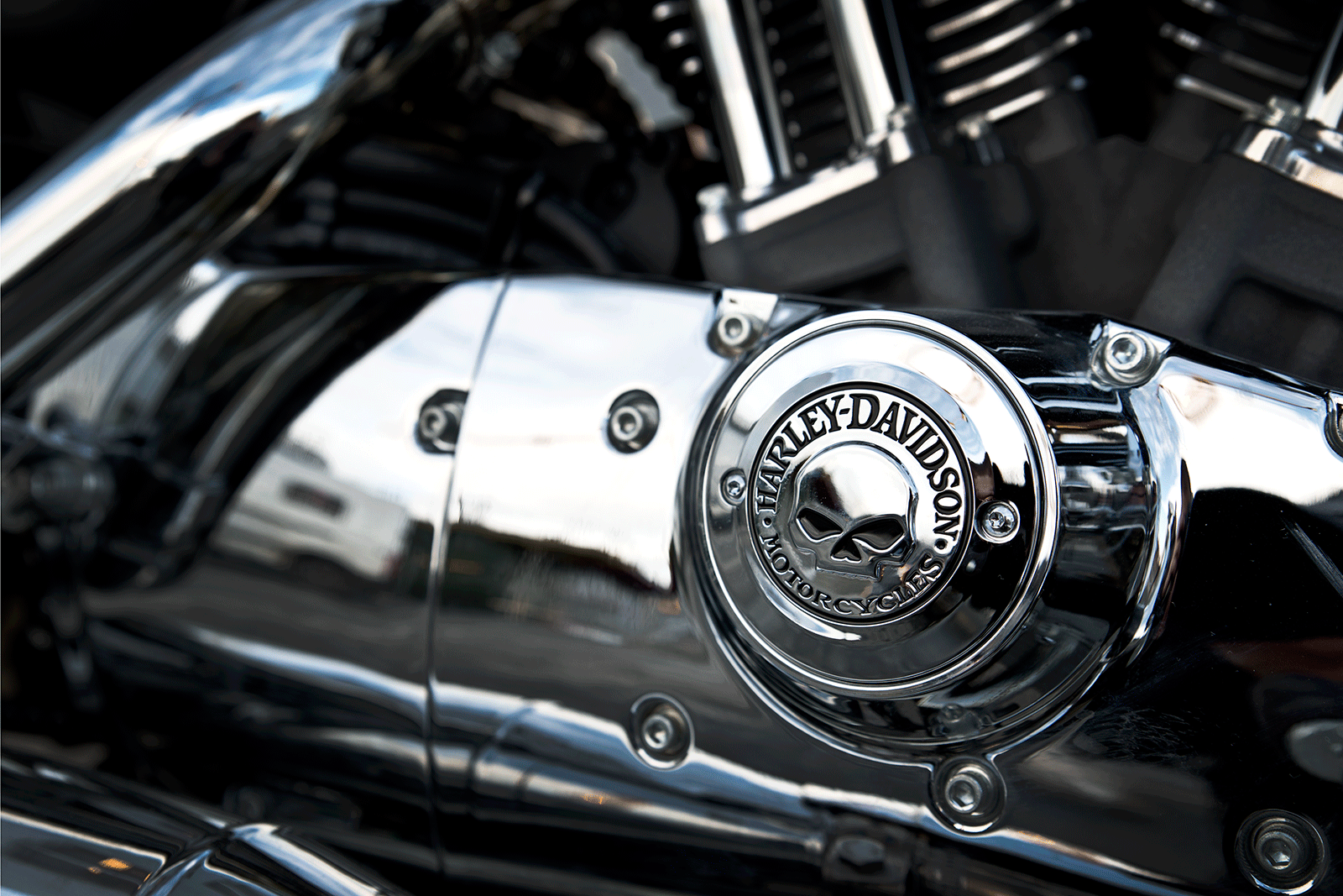 Ikon // Harley-Davidson