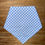 Thumbnail: Blue Gingham Pet Bandana 