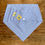 Thumbnail: Blue Gingham Pet Bandana 