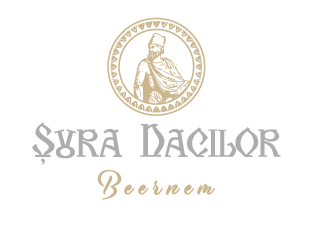 SD-Logo-Hor+Beernem-8.png