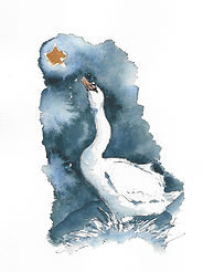 Swan Star.jpg