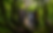 Untitled design (93).png