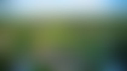 Explore Texas Lifestyle & Home Inspiration – Under a Texas Sky