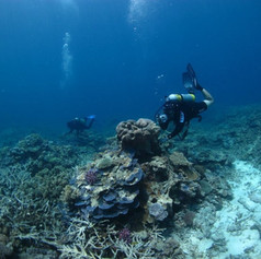 James, GBR.jpg