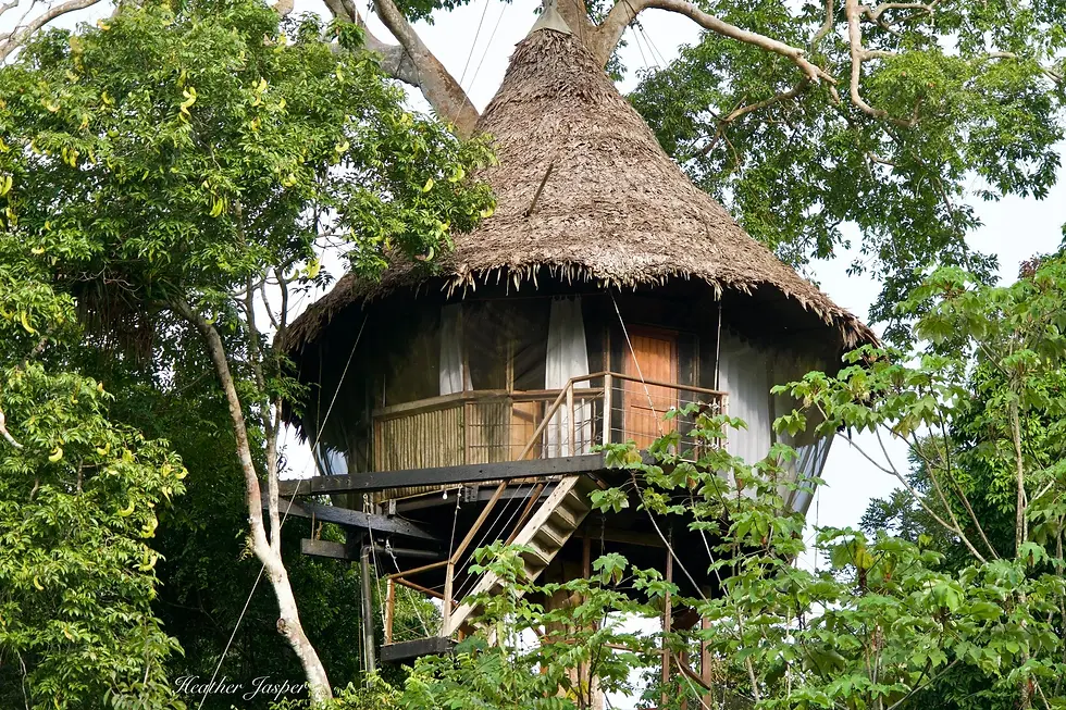 treehouse