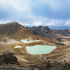 IMG_7214_edited.jpg