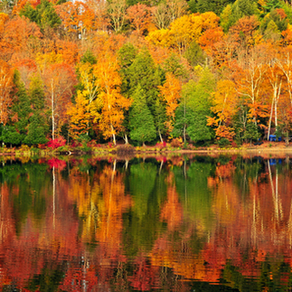 Forêt aux couleurs d’automne se reflétant dans un lac calme.