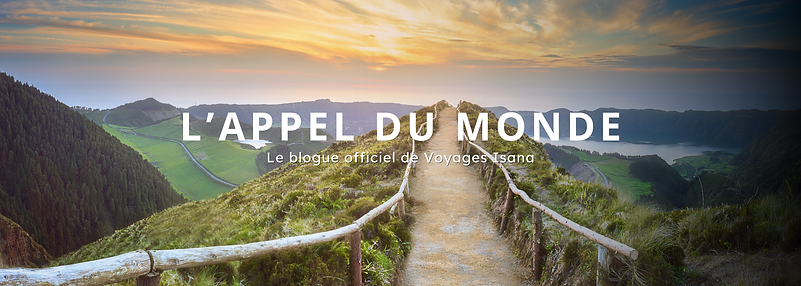 blogbanner1.png
