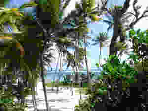 Martinique, Voyages Isana
