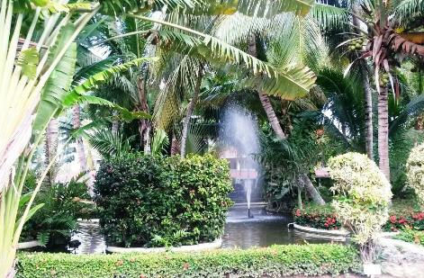 Grand Palladium s'occupe de tes allergies ou intolérances, le savais-tu?