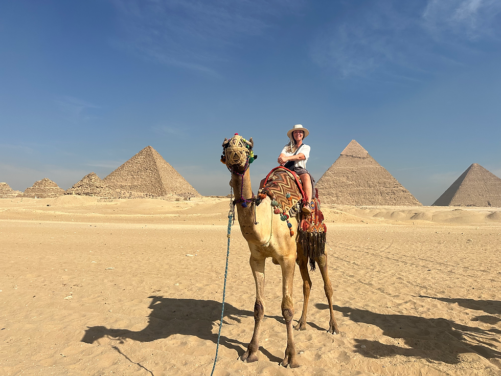 Une balade en calèche à Edfu - Egypte