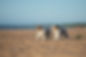 AdobeStock_285987329.jpeg