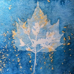 Cyanotype. Photogram.
