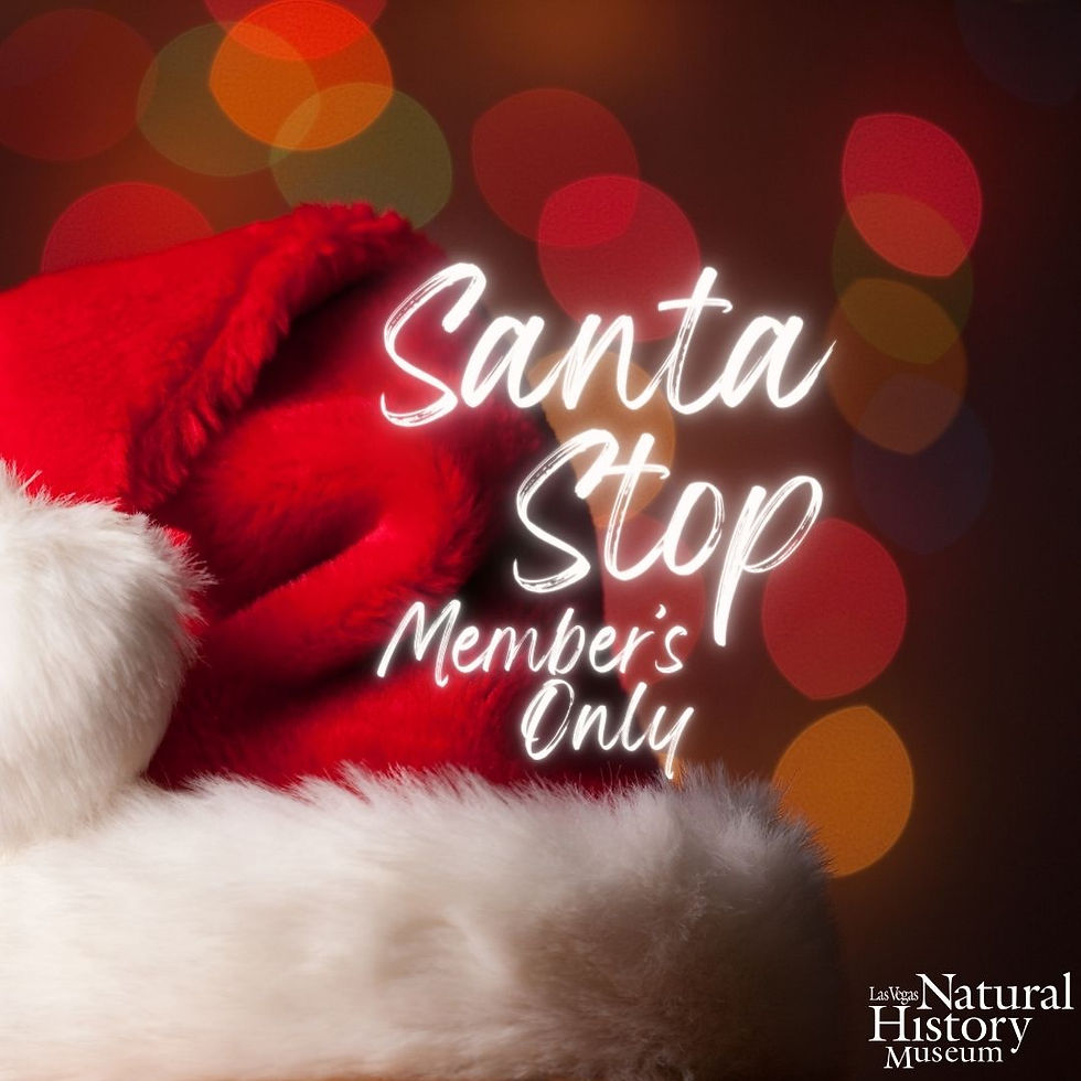 Santa Stops at the Museum - Member Day