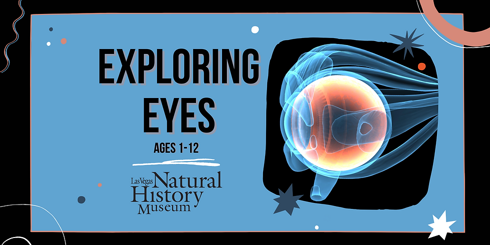 Exploring Eyes Demonstration