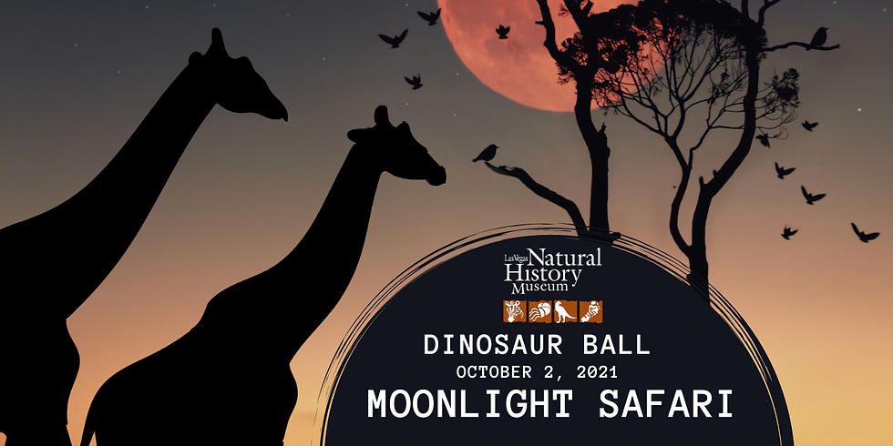 Dinosaur Ball: Moonlight Safari