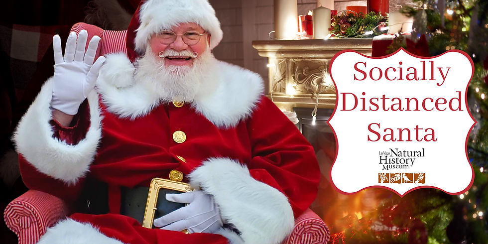 Socially Distanced Santa