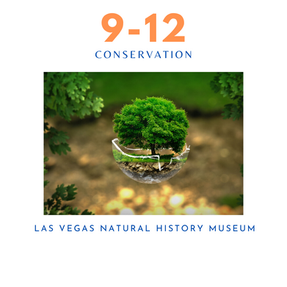 Citizen Scientist: Conservation