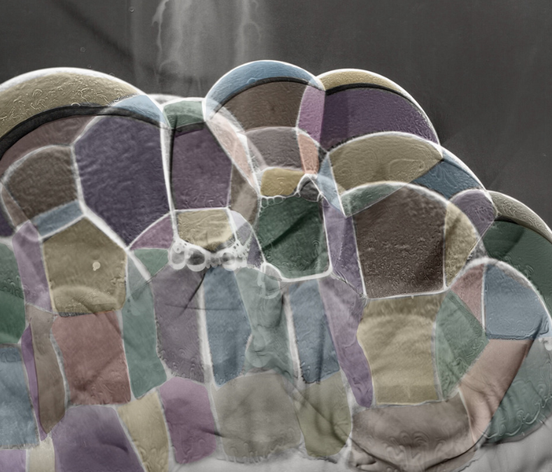 Painted Watergram Bubbles.PNG