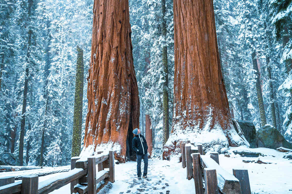 _A735654-Edit.jpg