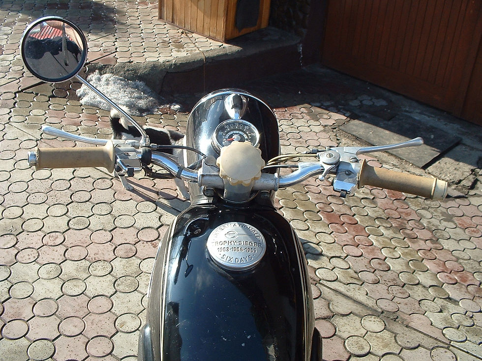 MZ ES 250-1 (4)