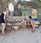Chania Beer & Food Tour Crete