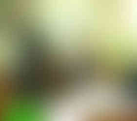 Working in Travel Agency in Chania