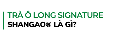 Tra-o-long-signature-shangao-la-gi