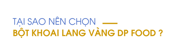 Tai-sao-nen-chon-bot-khoai-lang-vang-DP-Food