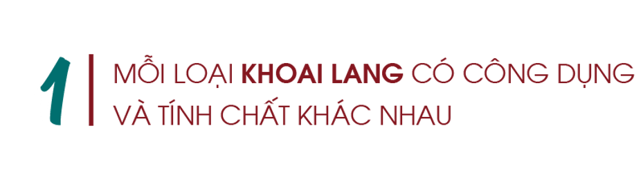 Moi-loai-khoai-lang-co-cong-dung-va-tinh-chat-khac-nhau