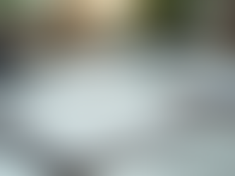 Motivation Matters: Journals and Merchandise for Success