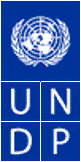 Iraq UNDP logo.gif